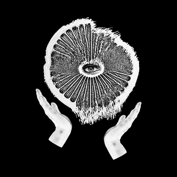 Clark - Feast / Beast - Amazon.com Music