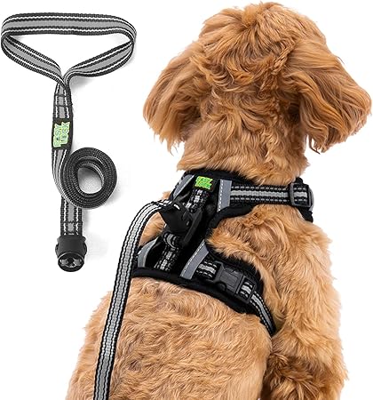 easy leash harness