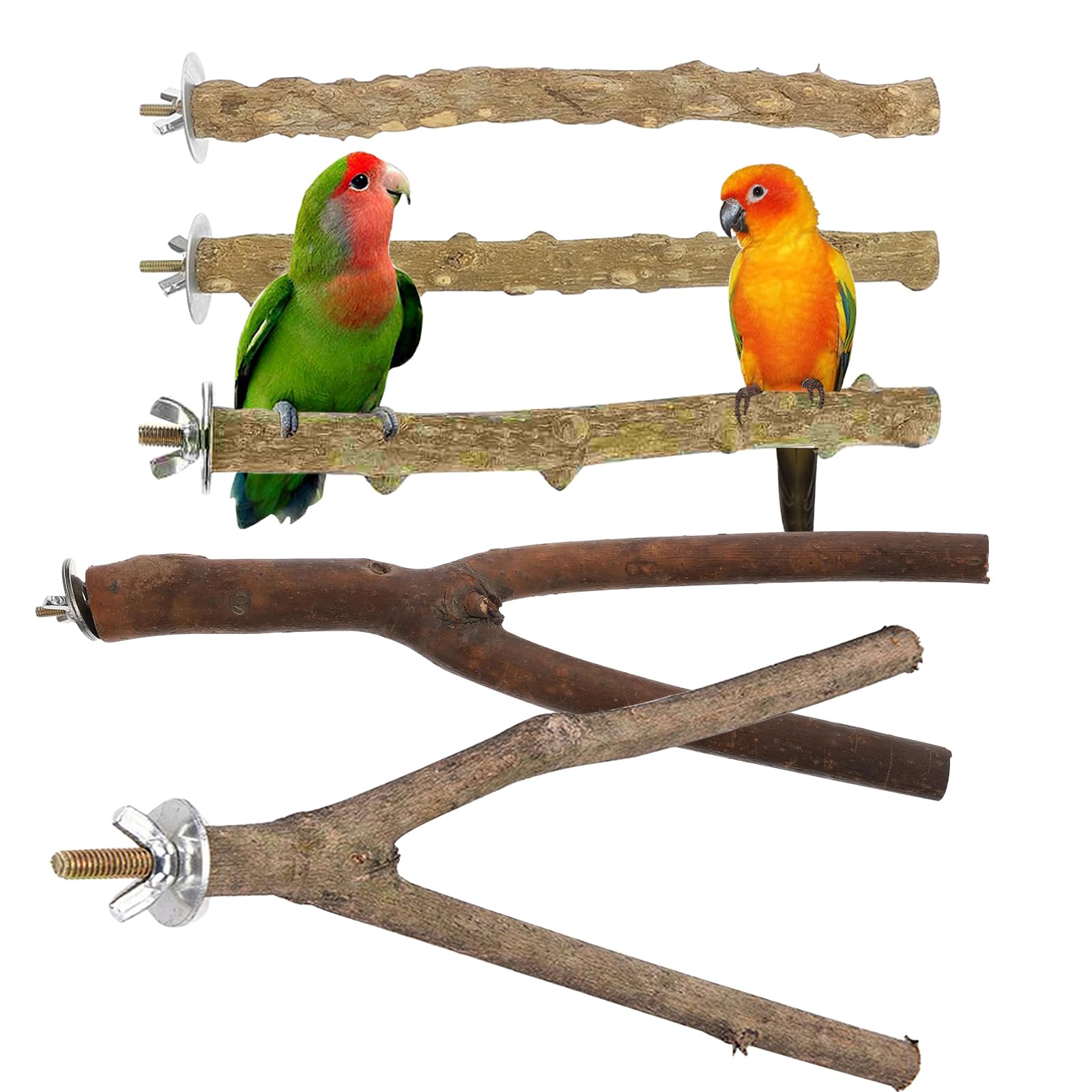 Vueinrg 5 Pcs natural perches for birds natural wood perches budgie bird perches for cage branches for birds bird cage accessories for cockatiel canary parrots