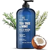 Botanic Hearth Tea Tree Face Wash With Mint | Acne Fighting, Premium, Hydrating Liquid Face Soap With Pure Tea Tree Oil | For Women And Men, Paraben Free, Fights Acne | 16 Fl Oz (Packaging May Vary)