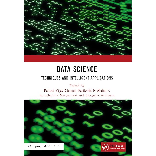 An Introduction to Data Science: Saltz, Jeffrey S., Stanton