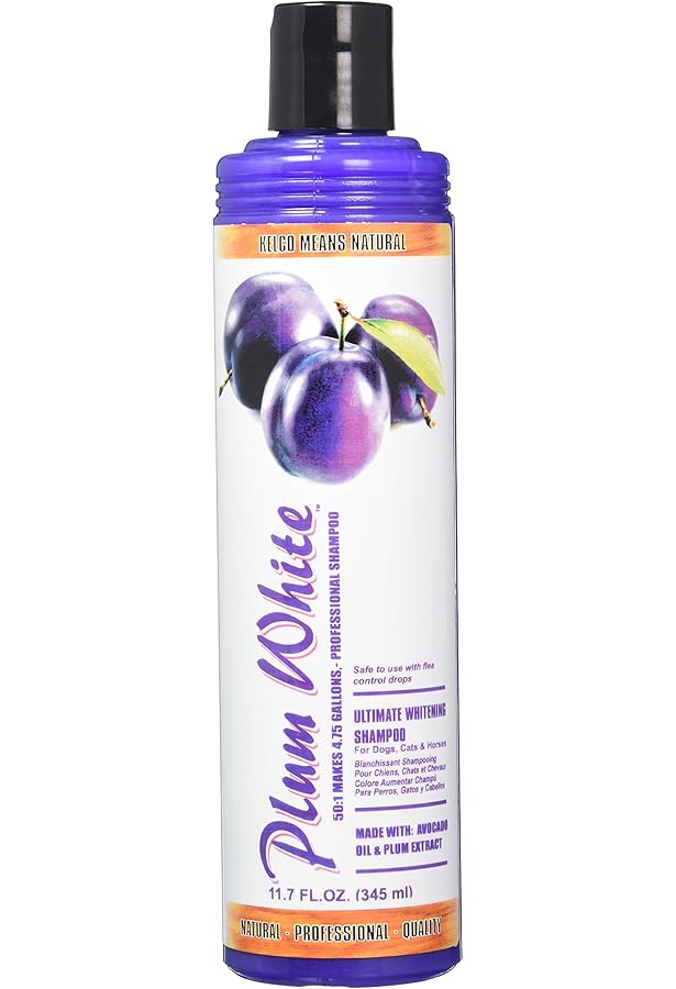 Best Homemade Plum Extract Substitute 2023 AtOnce