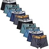 LuxeCore Men's Breathable Boxer Briefs Ice Silk Underwear,10-Pack