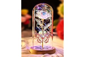 Beferr Christmas Birthday Gifts for Women, Mom Gifts for Christmas Galaxy Glass Rose Forever Preserved Flowers for Delivery Prime Rose in Glass Dome Xmas Gifts for Grandma Wife Sister Her, Rainbow