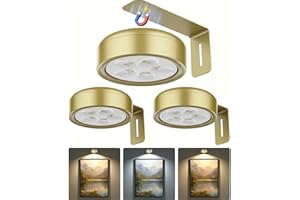 Yoomue 3 Pack Picture Light with 6 LED Beads, Rechargeable Magnetic Art Light with Remote & Touch, 3 Color Temps 12 RGB Dimma