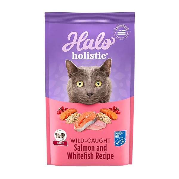 HALO HOLISTIC CAT FOOD WILD CAUGHT SALMON &...