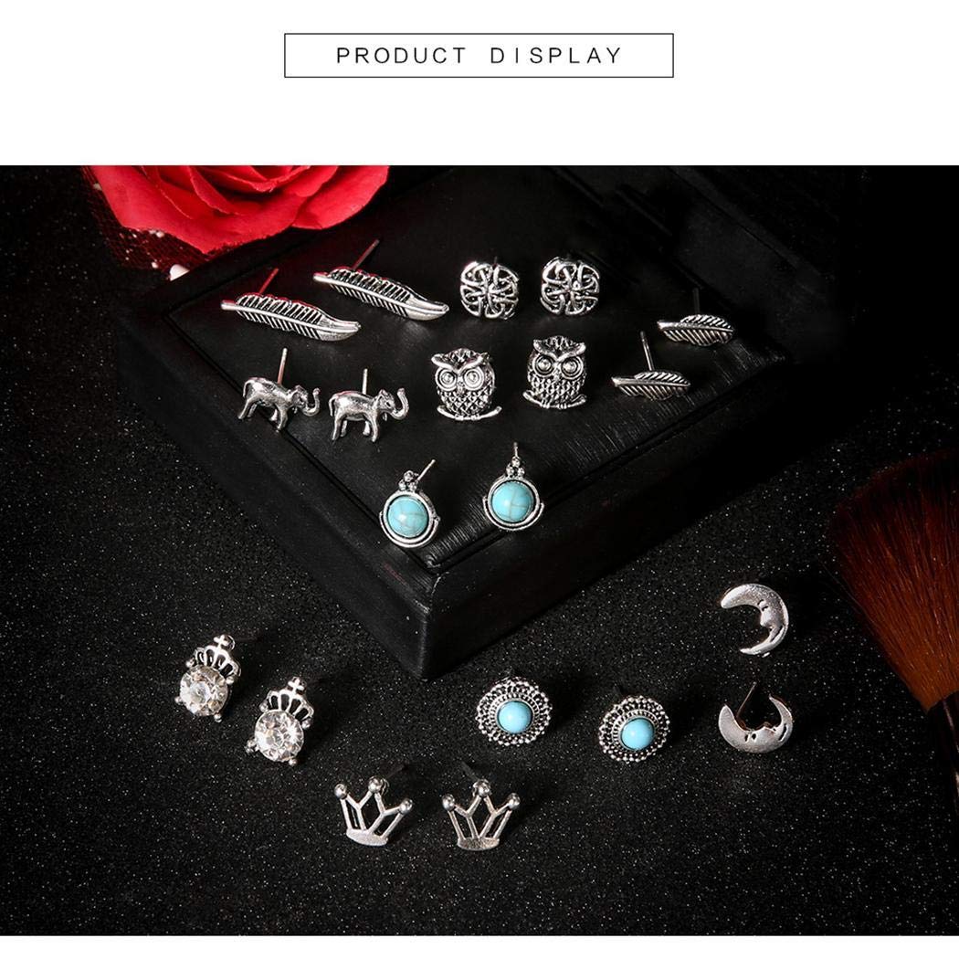kirken 10 Pair Stud Earrings Crown Leaf Animal Geometric Pierced Earring Set Gift for Women