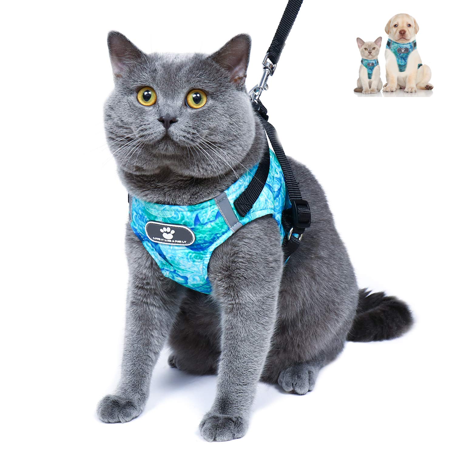 cat leash vest