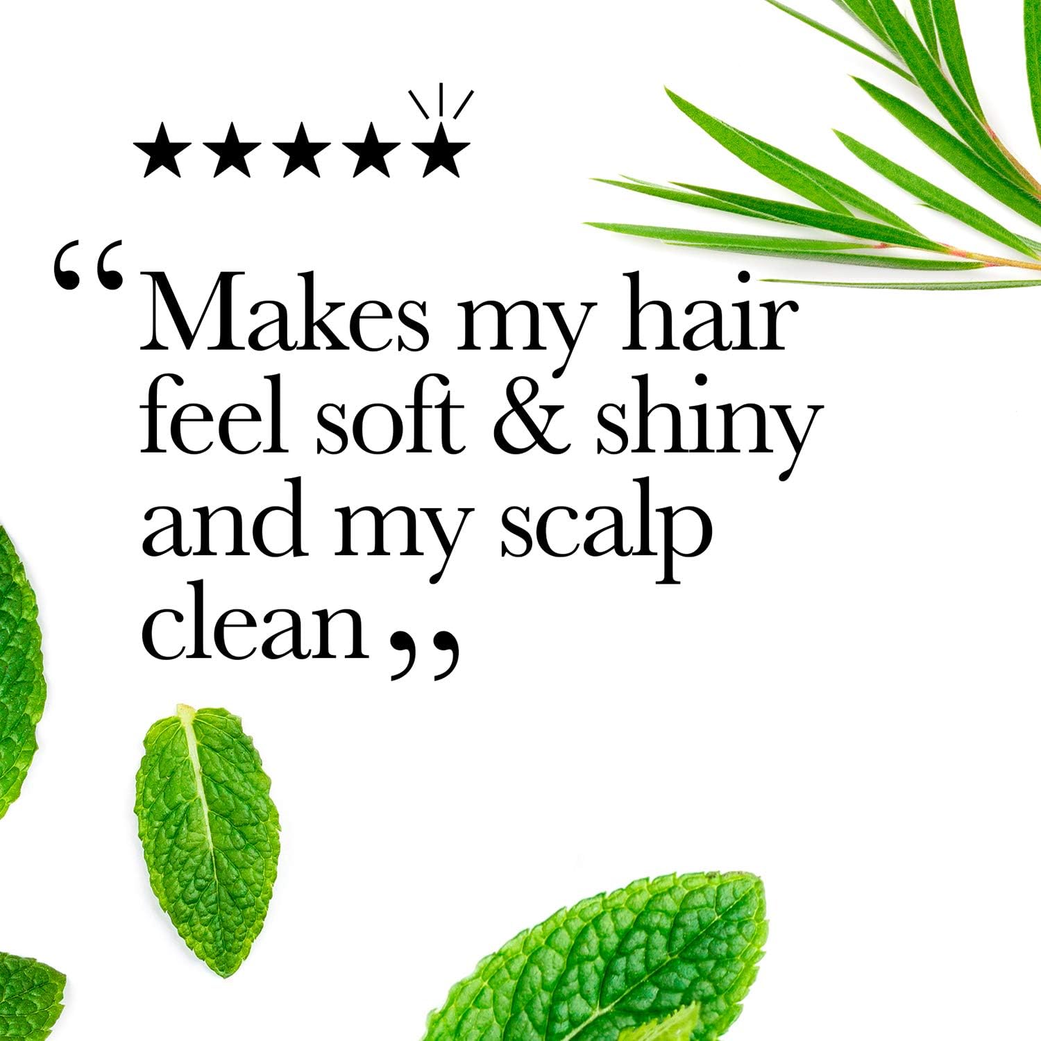 OGX Tea Tree Conditioner for Oily Hair and for Greasy Hair 385 ml - Image 5