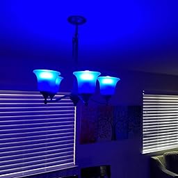 berennis smart light bulb