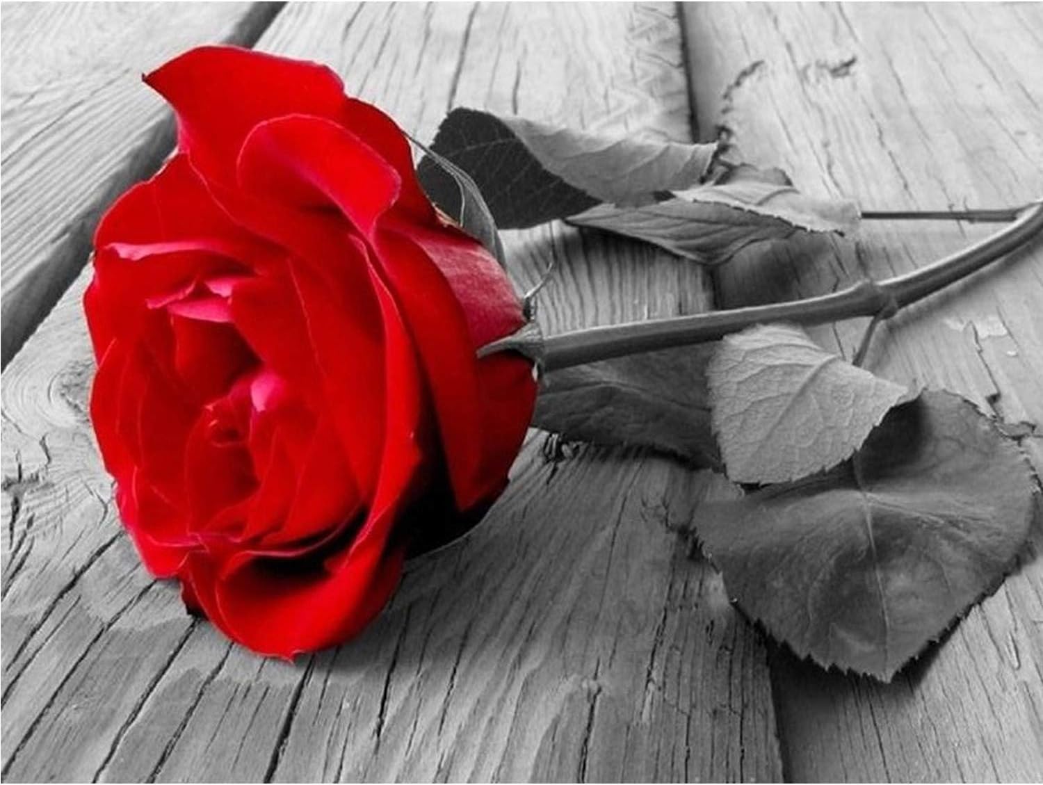 5D DIY Diamond Painting Red Rose by Number Kits, Full Drill Cross Stitch Crystal Rhinestone Embroidery Pictures Arts Craft for Home Wall Decor Gift (Red Rose)
