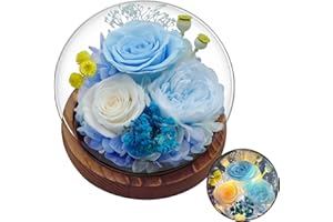 DIGI4U Mother’s Day Rose Flowers Birthday Gifts for Women, Preserved Real Flowers Bouquet Glass Dome Light Up Glass Rose Gifts for Mom Girlfriend Wife Valentine's Anniversary, Arrangement Home Gifts for Her
