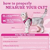 rabbitgoo Cat Harness and Lead Set Rose Red XS Adjustable Escape Proof view 2