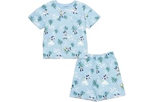 Disney French Terry T-Shirt and Shorts Outfit Set Infant to Big Kid Sizes (12 Months - 18-20)