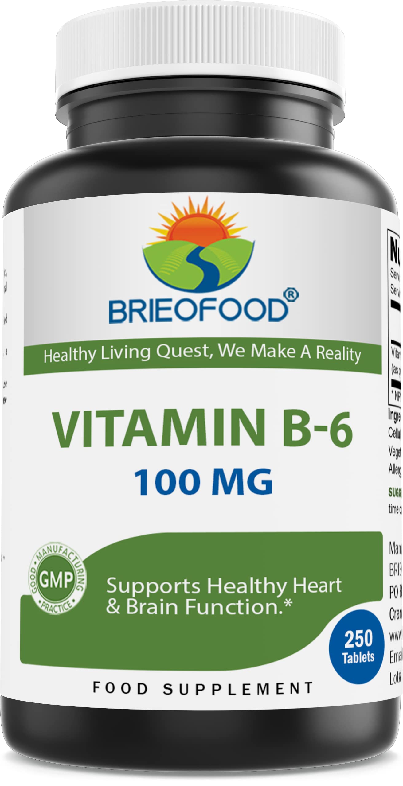 Brieofood Vitamin B6 100 mg 250 Tablets