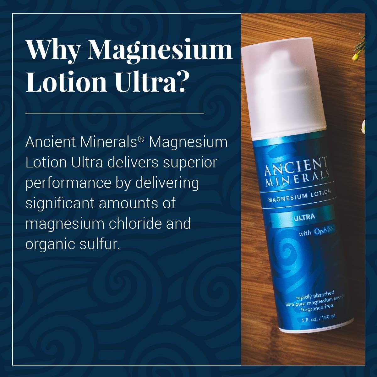 Ancient Minerals Magnesium Lotion ULTRA with MSM - Pure Genuine Zechstein Magnesium Lotion Supplement with MSM for Topical Application (5oz) : Beauty