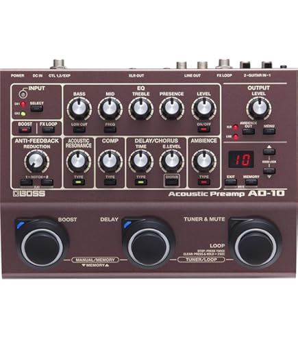 Amazon.com: L.R. Baggs Session DI Acoustic Guitar Preamp and DI