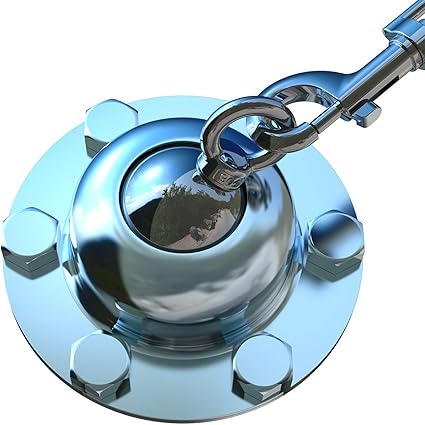 Dog anchor for yard Clearance