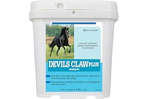 SmartEquine | Devil's Claw Plus Granular | Horse Joint Supplement with Yucca for Horses | Supports Joint Strength, Comfort & Mobility | Antioxidant Support Supplement | 5 lb