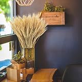 Yukiyi 100 Stems Dried Wheat Flowers Sheaves 40cm Natural Ear of Grain view 2