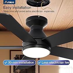 Amico Ceiling Fans with Lights, 42 Inch Low Profile
