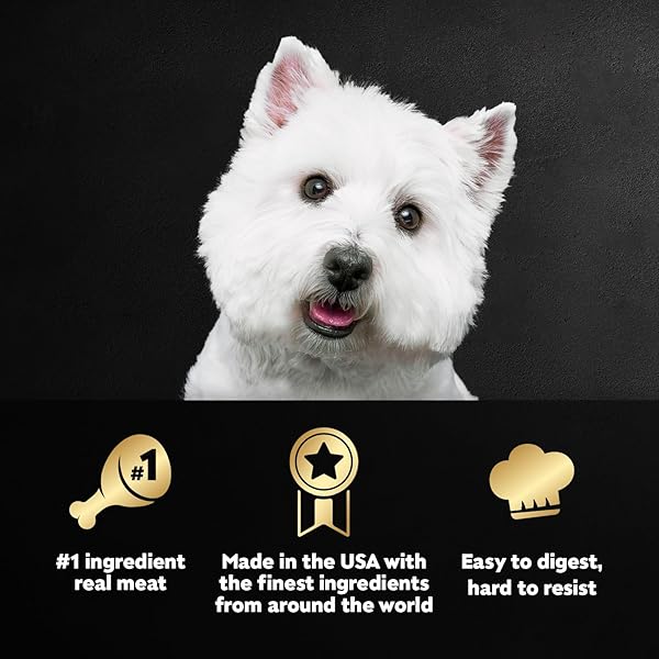 CESAR ADULT WET DOG FOOD CLASSIC LOAF IN SAUCE BREAKFAST AND DINNER MEALTIME VARIETY PACK, 3.5 OZ. EASY PEEL TRAYS, PACK OF 12