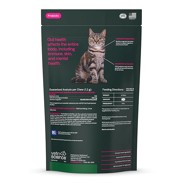 VETRISCIENCE GUT HEALTH CHEWS, PROBIOTIC EVERYDAY DIGESTIVE SUPPLEMENT FOR CATS, PET PROBIOTICS FOR DIGESTION SUPPORT, GAS AND DIARRHEA, IMMUNE SUPPORT, 120 MILLION CFU PER CHEW, DUCK, 60 COUNT