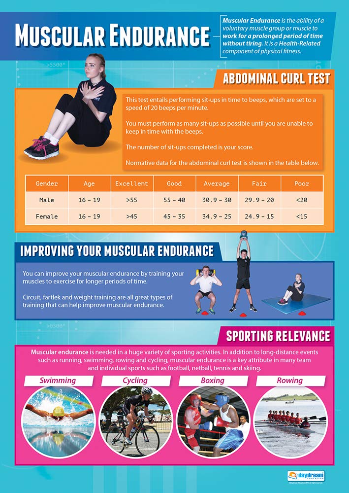 Daydream Education Muscular Endurance | PE Posters | Laminated Gloss Paper measuring 850mm x 594mm (A1) | Physical Education Charts for the Classroom | Education Charts