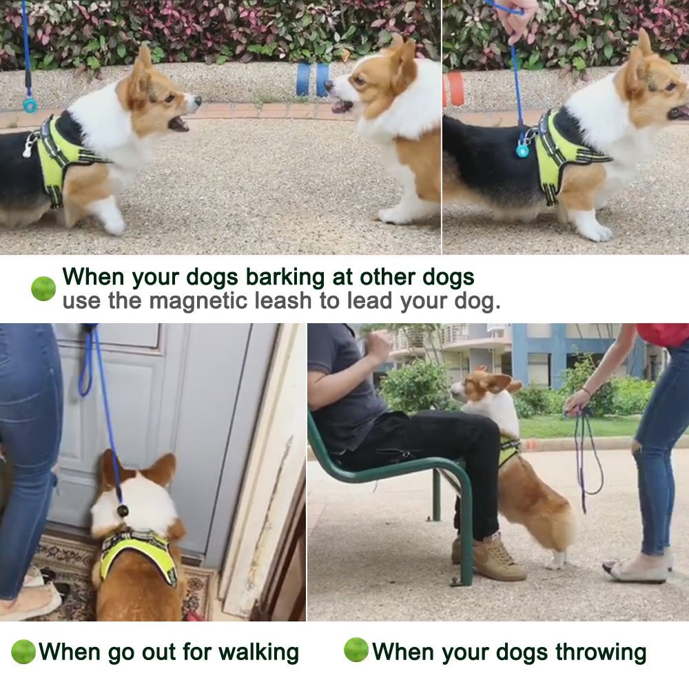 outdoortop Hands Free Leash Fastener - Strong Magnetic hook Pets Lock Carabiner Quick Link Nylon Climbing Rope Dog Leash Free Control-for Running Hiking Jogging and Walking for Small-Medium Dogs