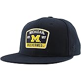 Michigan Wolverines NCAA Officially Licensed Hat Flat Snapback Z11 Switchback Team Color
