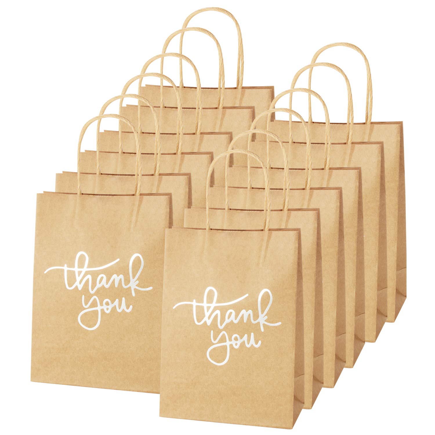 24 Pack Paper Party Bags,Kraft Paper Party Bags with Handles for Birthday,Business,Boutique,Wedding and Party Celebrations(Silver)