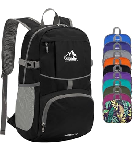 Amazon.com: Briefing BRF298219 SQ Pack Business Backpack, Deep Sea