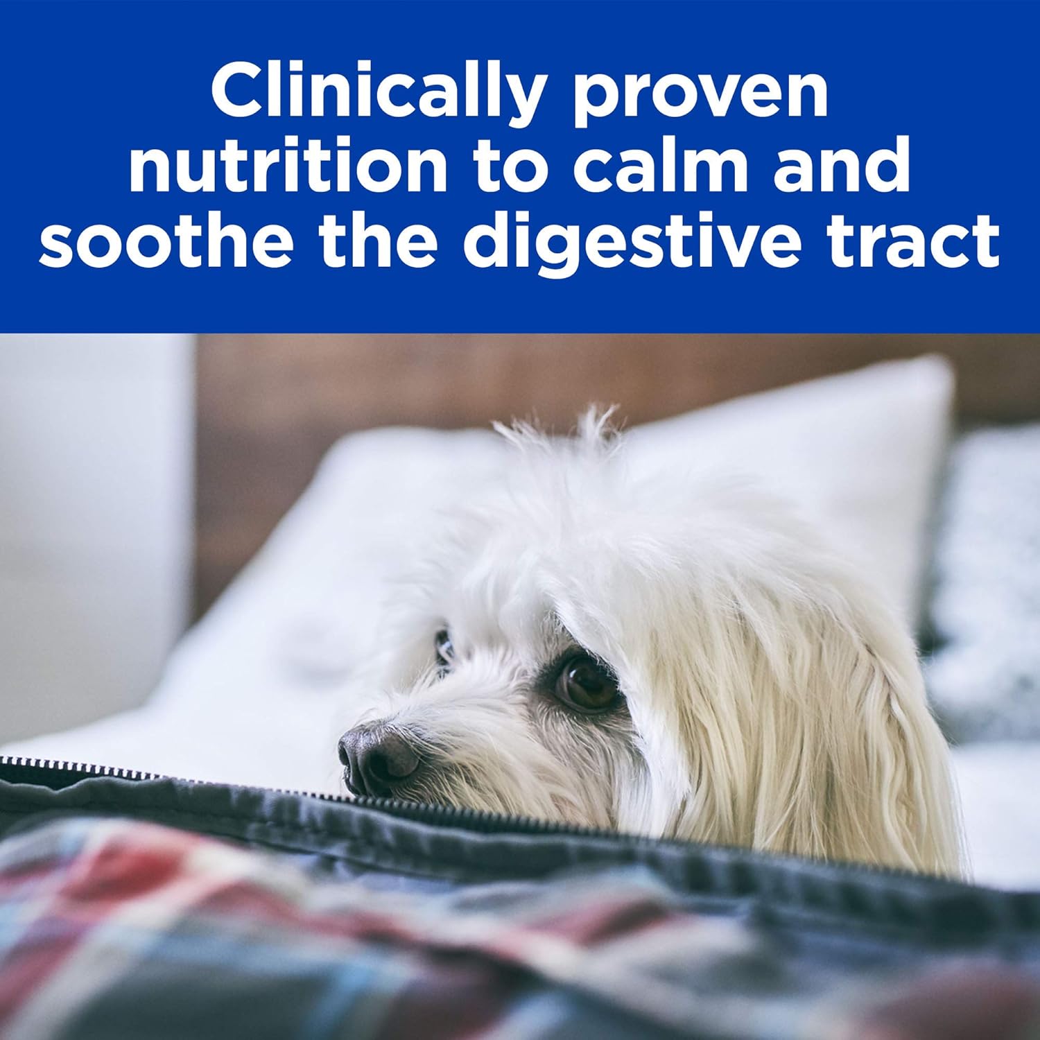 hill's prescription diet low fat