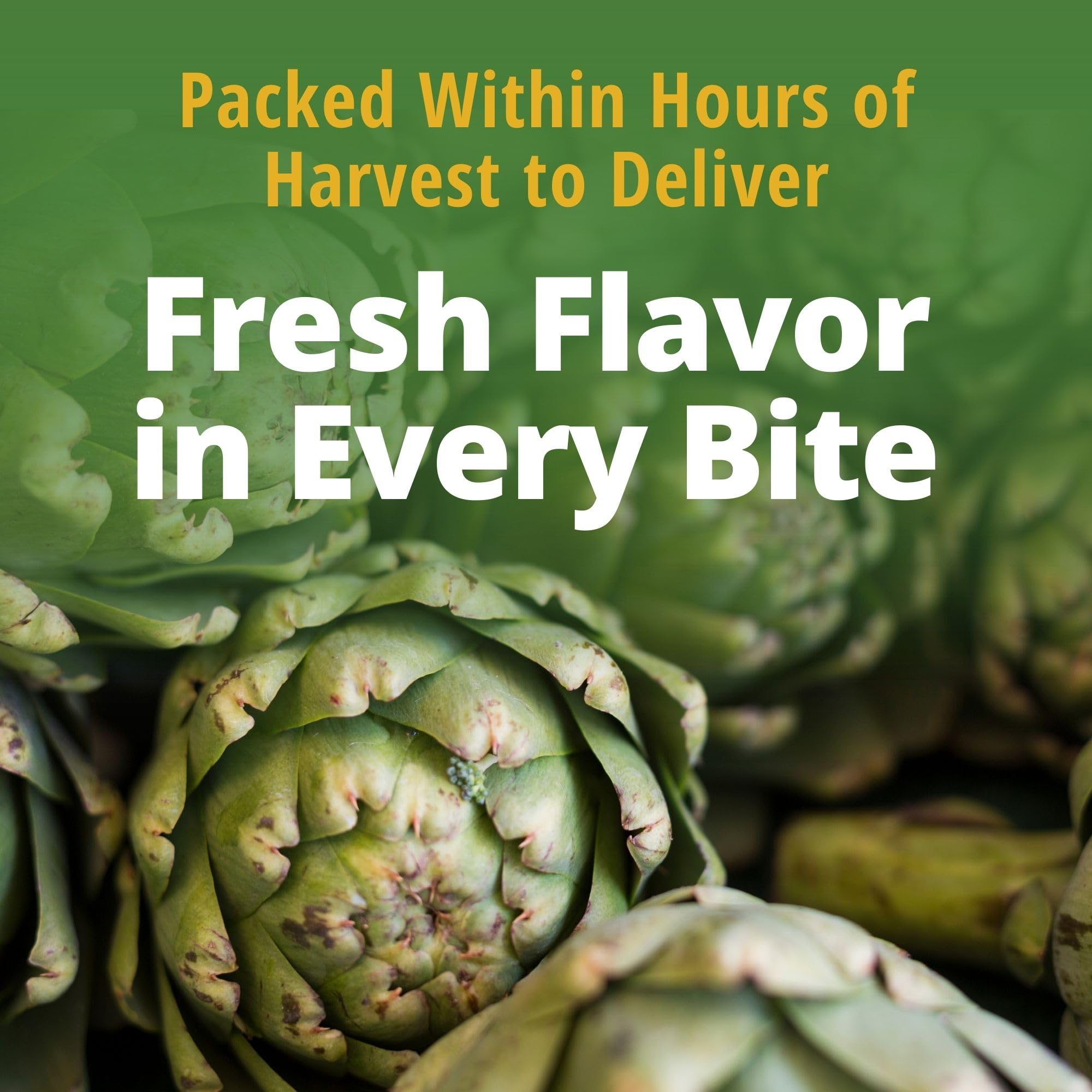 Del Monte® Quartered Artichoke Hearts 14 oz. Can, 12 Pack Pricepulse