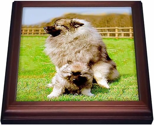 keepsake keeshond