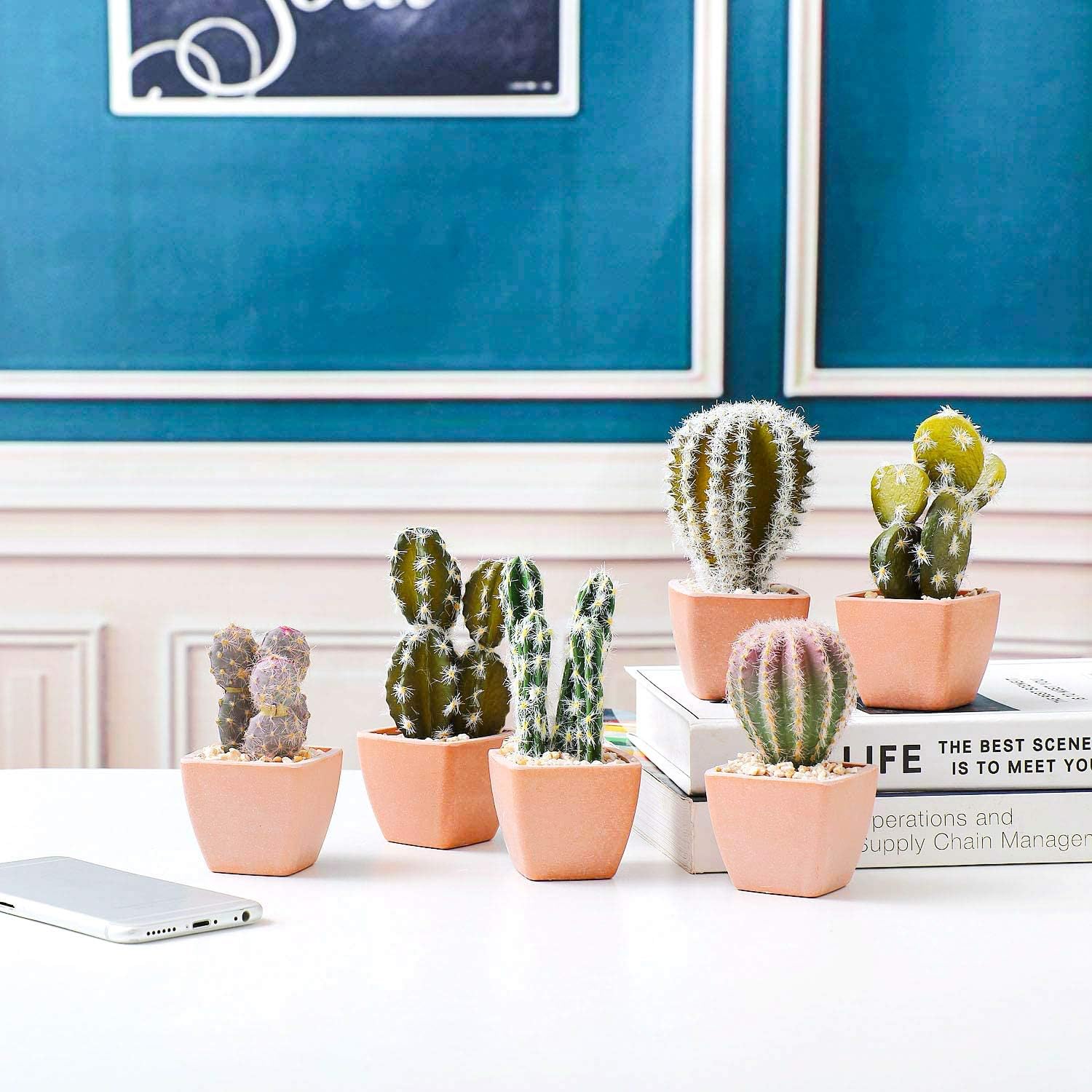 T4U Assorted Artificial Succulent Potted Plants Decorative Plastic Faux Cactus with Pots, Pack of 6 -