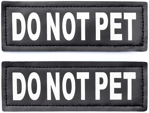 dog breeds with large ears that stand up