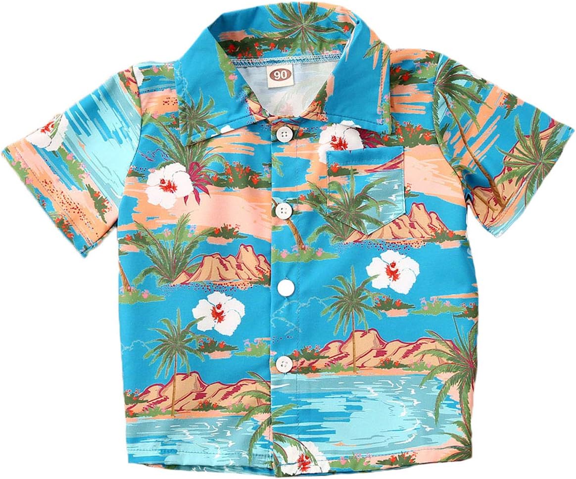 Toddler Baby Boys Short Sleeve Hawaiian Button Down Shirts Tops 3D Graphic Aloha Dress Shirts