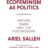 Ecofeminism as Politics: Nature, Marx and the Postmodern