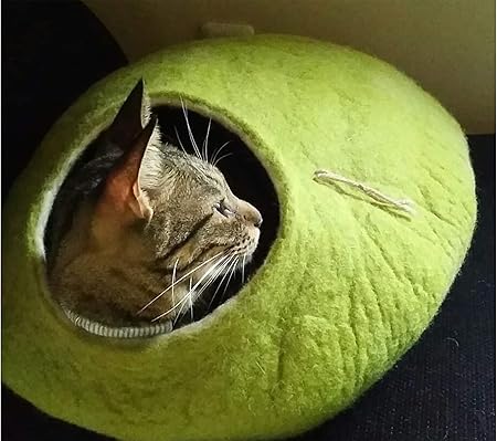 large cat igloo
