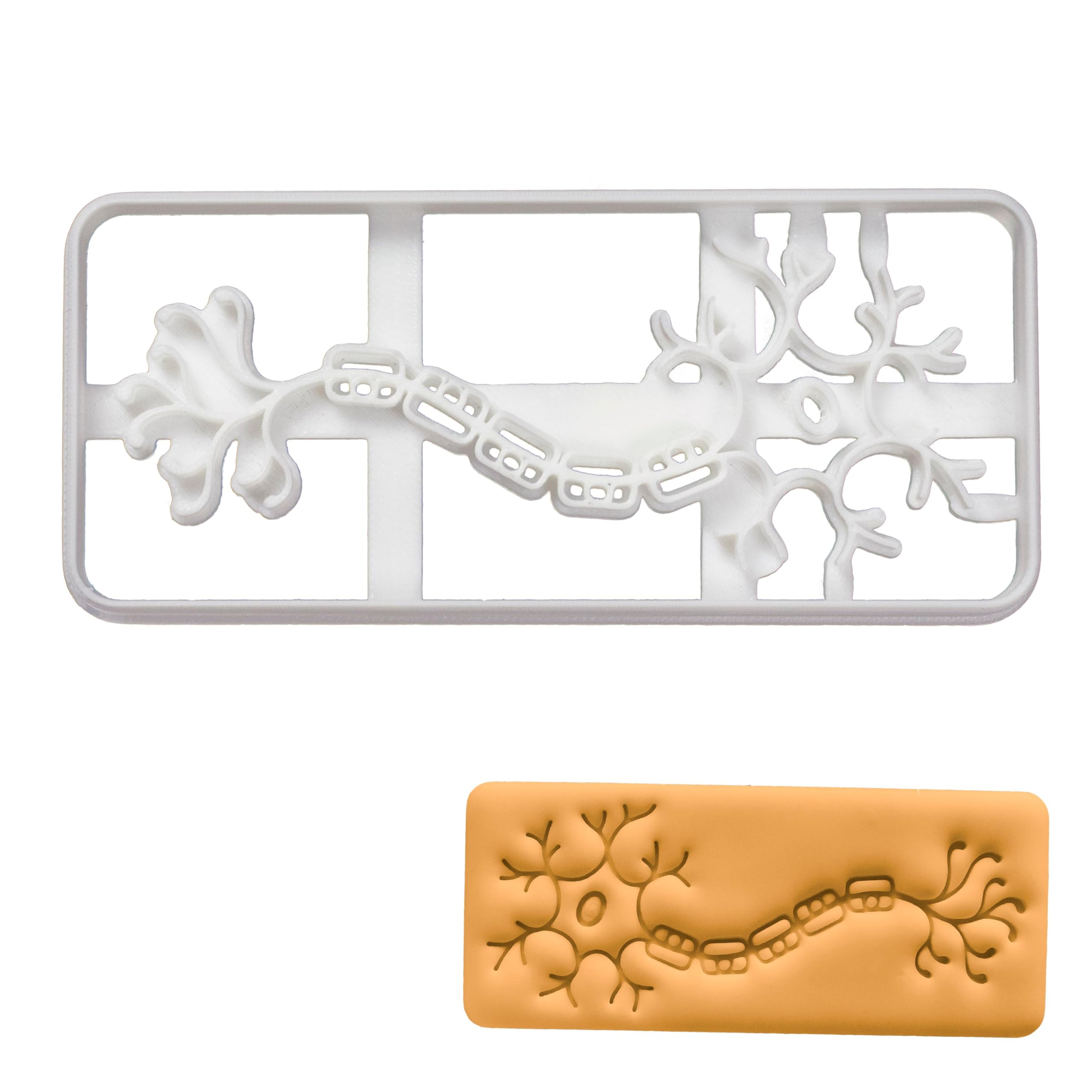 BAKERLOGY Neuron Cookie Cutter - Detailed Biscuit Cutter Design for Baking and Crafts, Ideal on Fondant, Dough, Clay