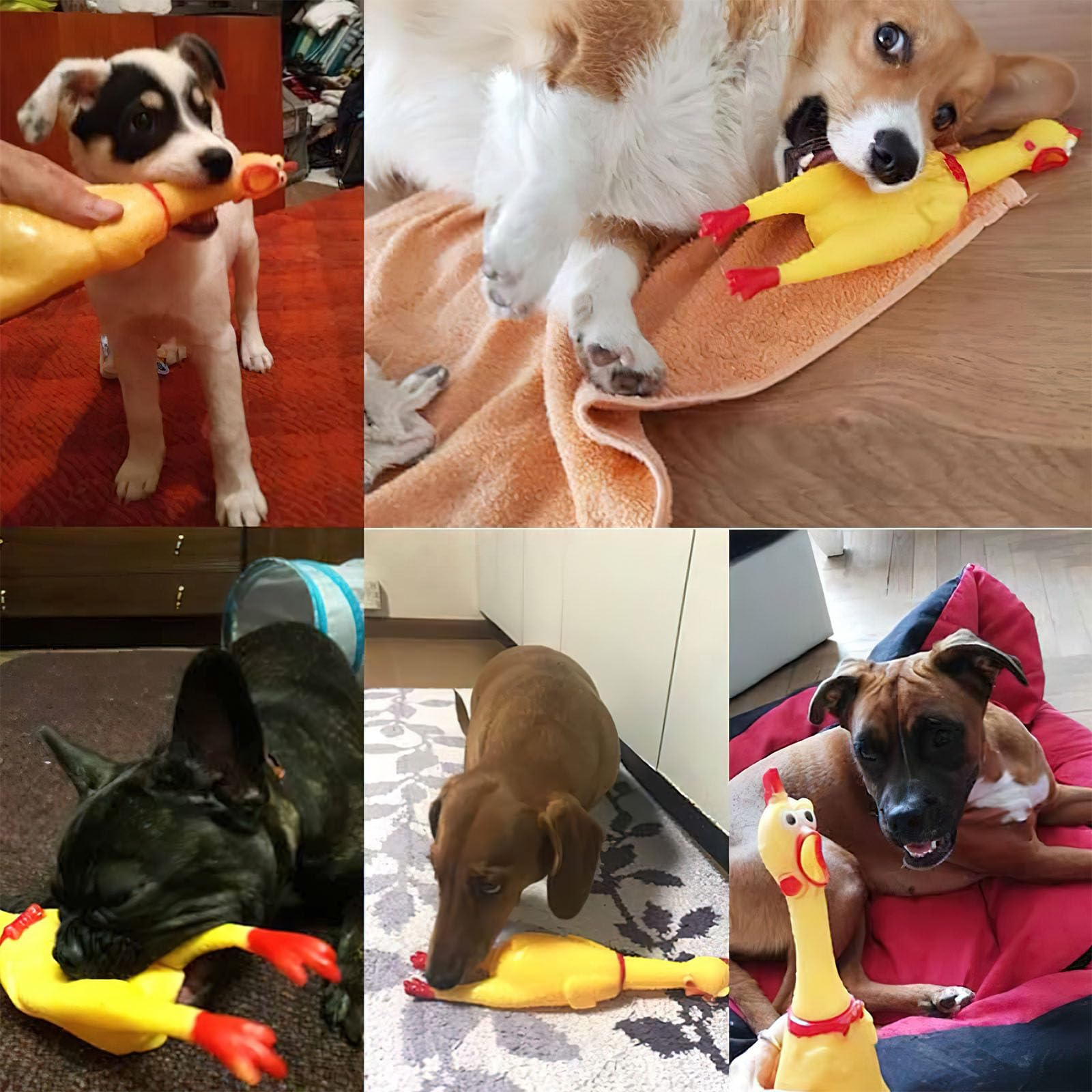 POPLAY Rubber Chickens That Squeak, Screaming Chicken Dog Toys Prank Novelty Toys for Kids Adults