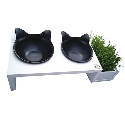 vivipet elevated cat feeder
