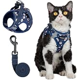 Arblina Soft Mesh Kitten Harness and Leash Set for Walking, Lightweight Step in Cat Vest Harness,Reflective Ajustable Puppy V