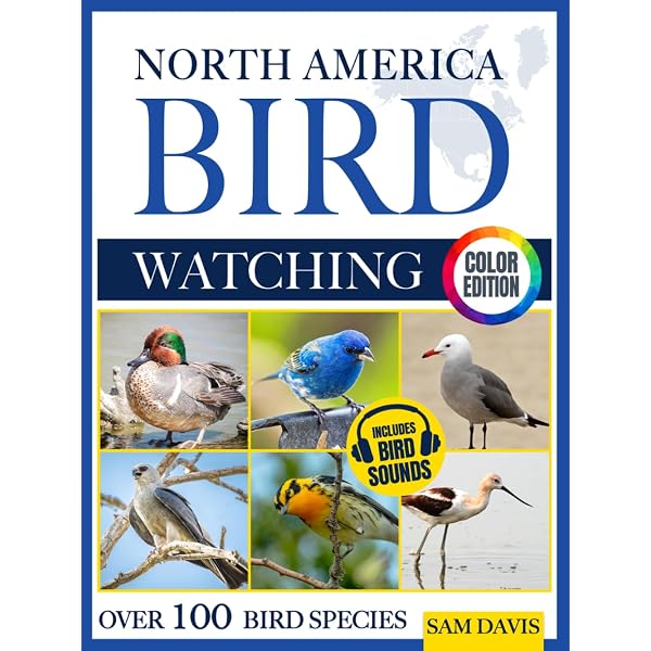 A Field Guide to the Beetles of North America: Text and