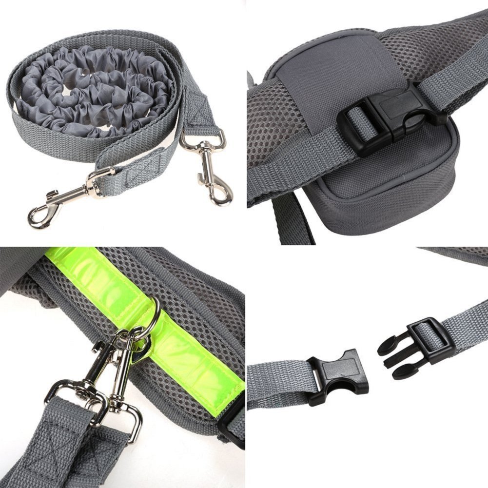 Perros Correa elástica para correr o caminar con el perro con cinturón