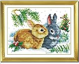 YANCONGLIDEYAN Cross Stitch Kit 11CT Stamped Beginners Pre-Printed Rabbits view 5