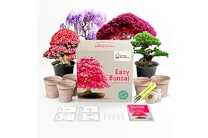 GROW BUDDHA Grow Your Own Bonsai Tree kit | Easily Grow 4 Types of Bonsai Tree with Our Complete Beginner Friendly Bonsai Starter kit | Bonzai Tree | Christmas Gift Set for Plant Lovers (Bonsai Kit)