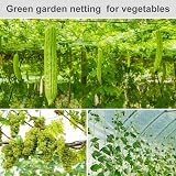 lohey Garden Netting Mesh 4M x 12M Cat Bird Proof Fine Nylon Green view 6
