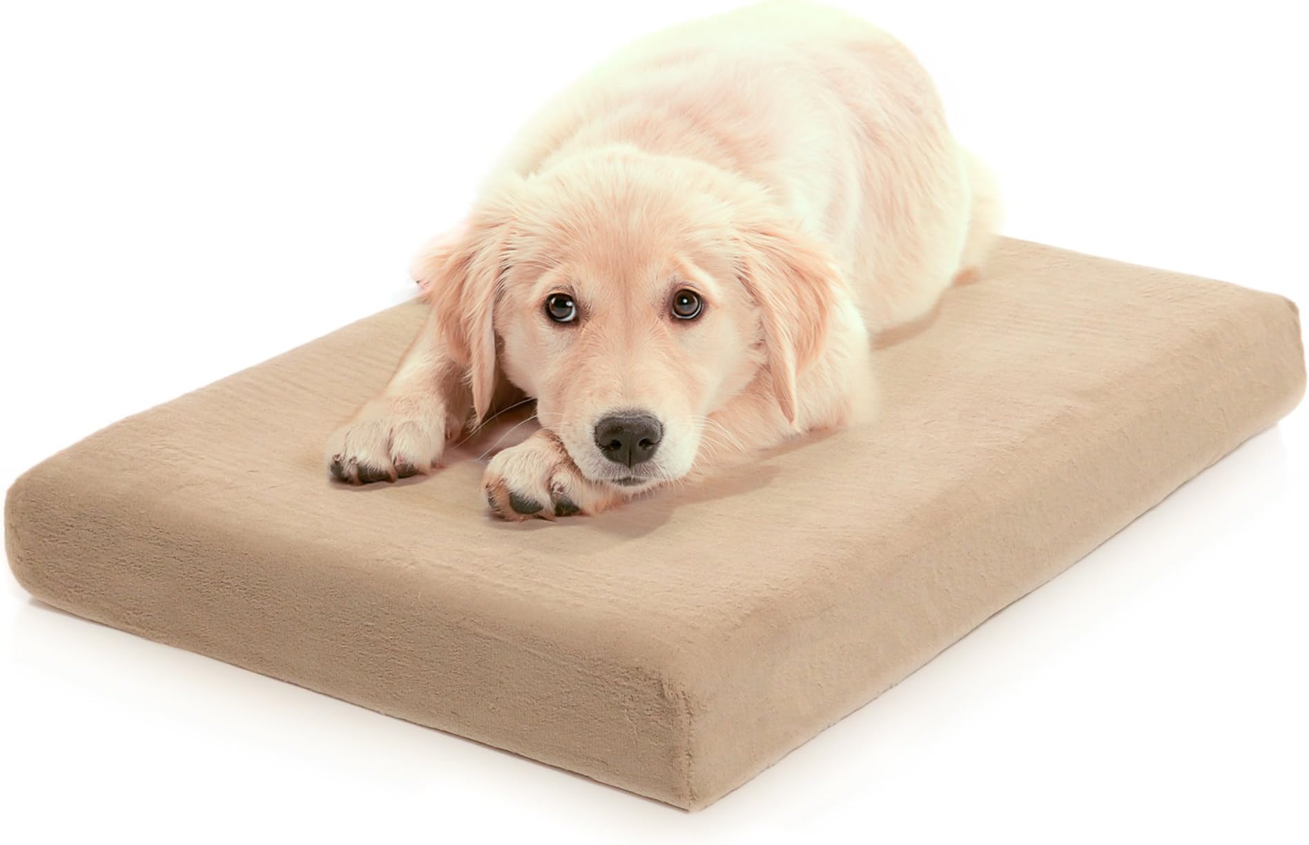 Milliard Premium Orthopedic Memory Foam Dog Bed with Anti-Microbial Waterproof Non-slip Cover, Medium 34x22x4 in